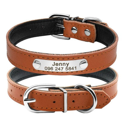 Custom Pet Collars